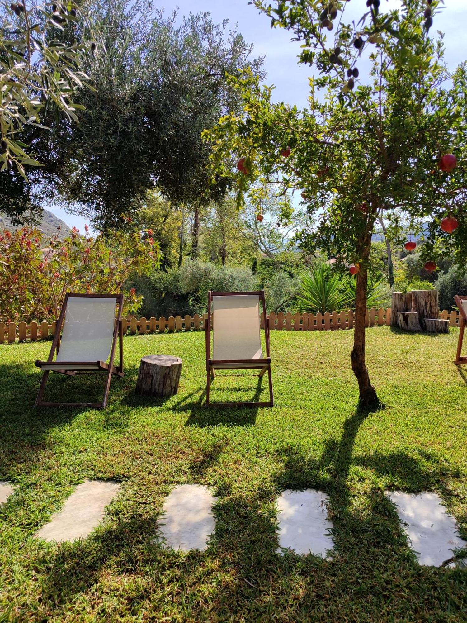 Kykeon Studios Katelios Luaran gambar