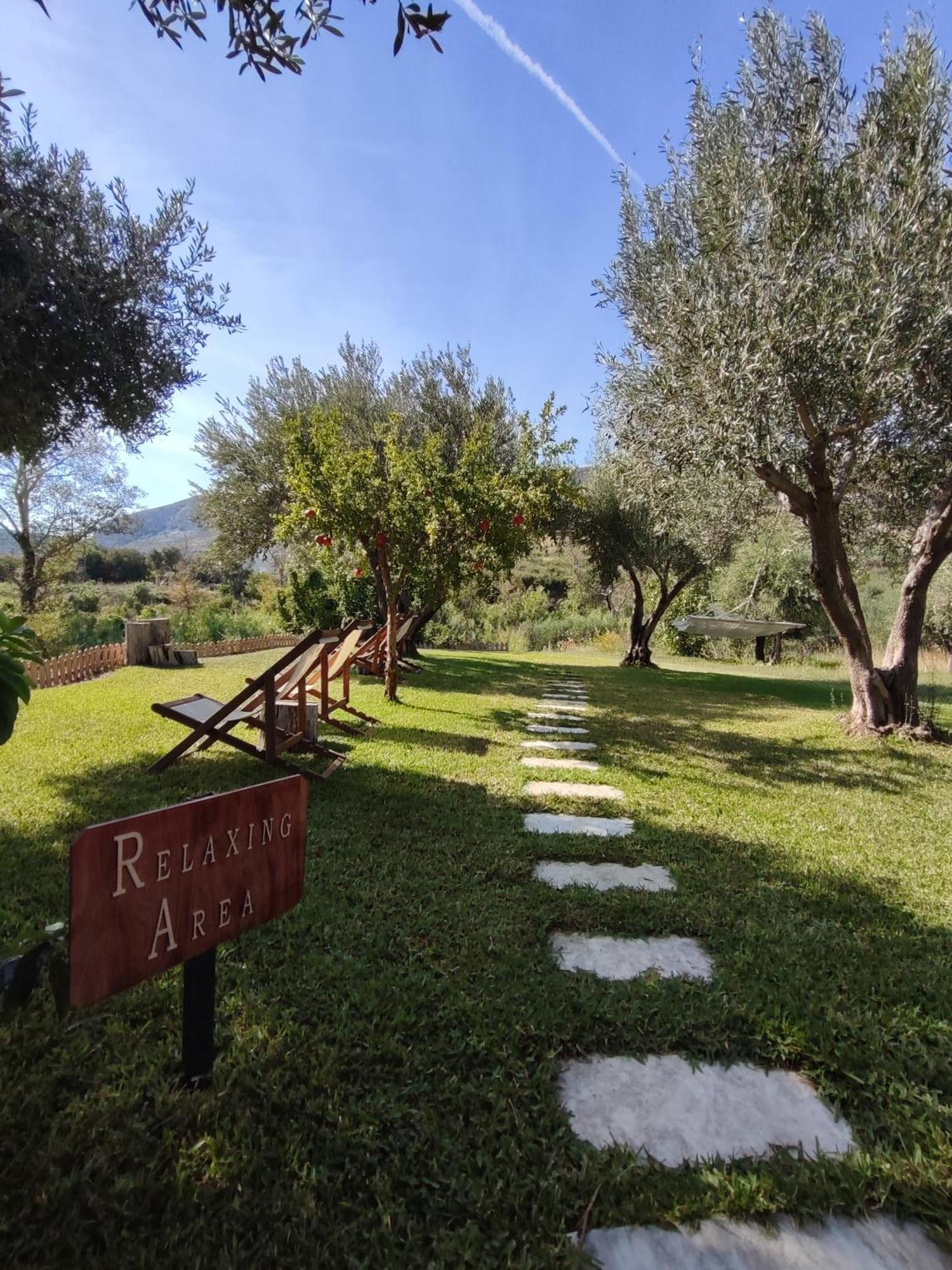 Kykeon Studios Katelios Luaran gambar
