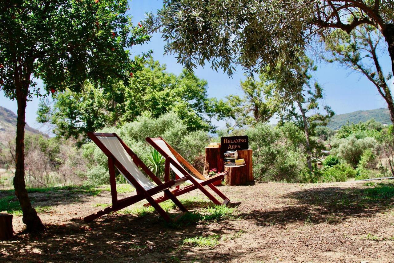 Kykeon Studios Katelios Luaran gambar